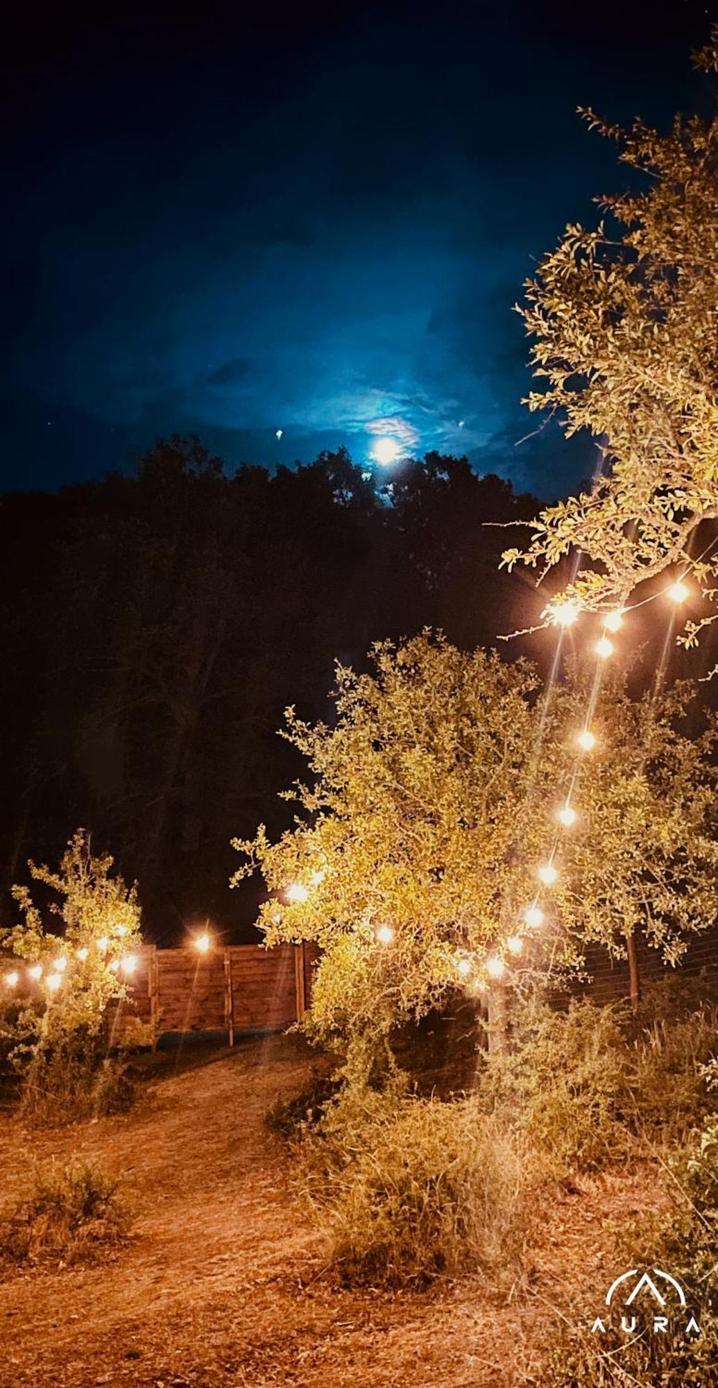 Aura - Glamping Experience Hotel Accettura Bagian luar foto