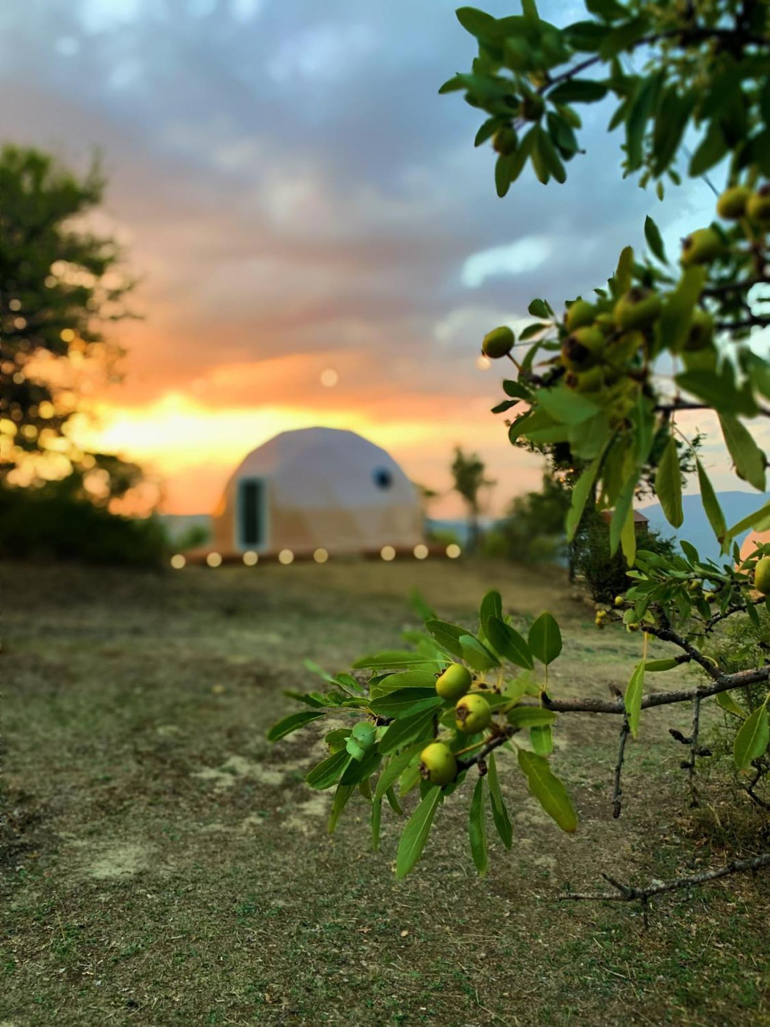 Aura - Glamping Experience Hotel Accettura Bagian luar foto